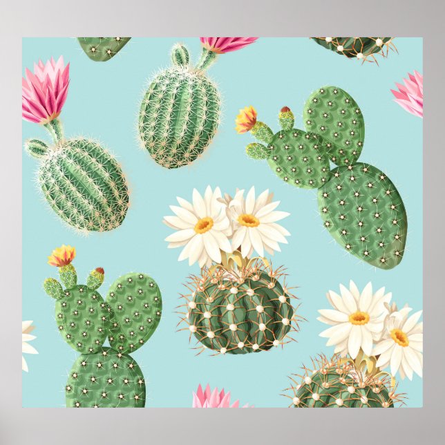 Affiche Cactus, fleurs roses : décor clair (Devant)