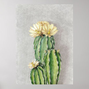 Affiche Cactus Flower Painting