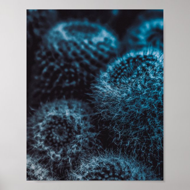 Affiche Cactus foncé (Devant)