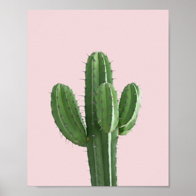 Affiche Cactus in Pink (Devant)