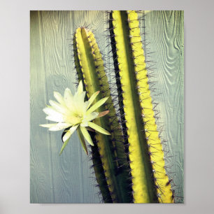 Affiche Cactus Plante avec Fleur Photographie Nature Art