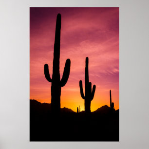 Affiche Cactus saguaro au lever du soleil, Arizona