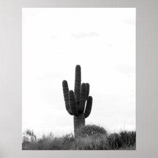 Affiche Cactus Saguaro noir et blanc sur le sommet de la c