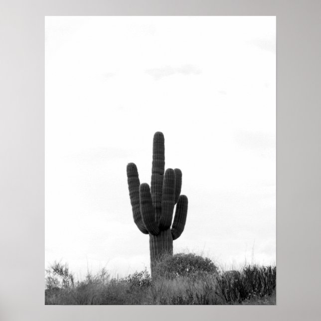 Affiche Cactus Saguaro noir et blanc sur le sommet de la c (Devant)