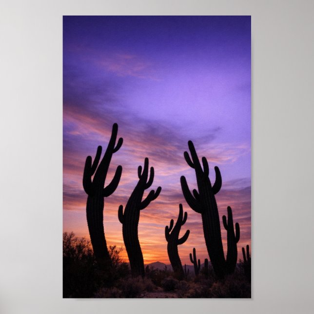 Affiche Cactus Silhouettés Se Déplaçant au Crépuscule (Devant)