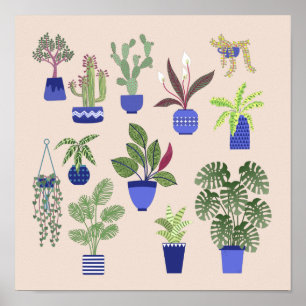 Affiche Cactus Succulent Houseplant rose