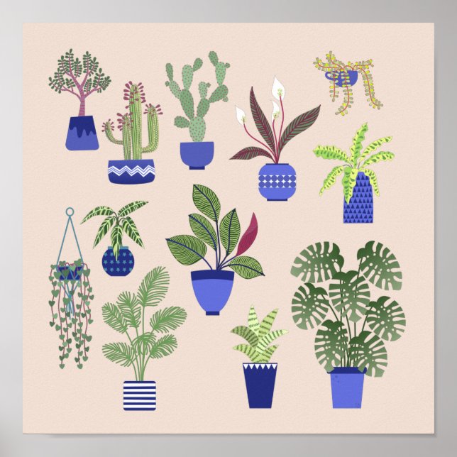 Affiche Cactus Succulent Houseplant rose (Devant)