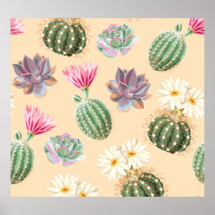Affiche Cactus Succulent : Motif de détail élevé