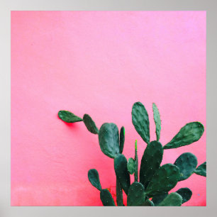 Affiche Cactus sur fond rose