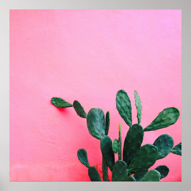 Affiche Cactus sur fond rose (Devant)