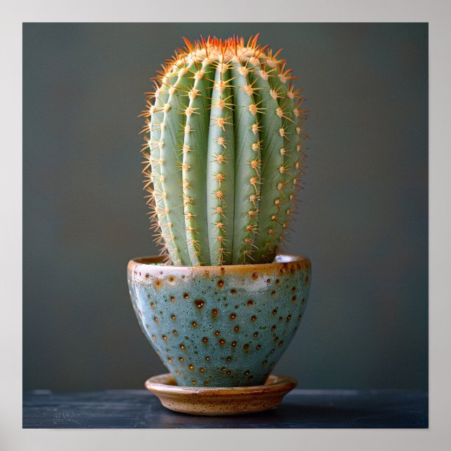 Affiche Cactus vert dans un pot en céramique Turquoise pho (Devant)
