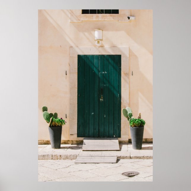 AFFICHE CACTUS VERT PLANTE PRÈS DE PORTE VERTE (Devant)