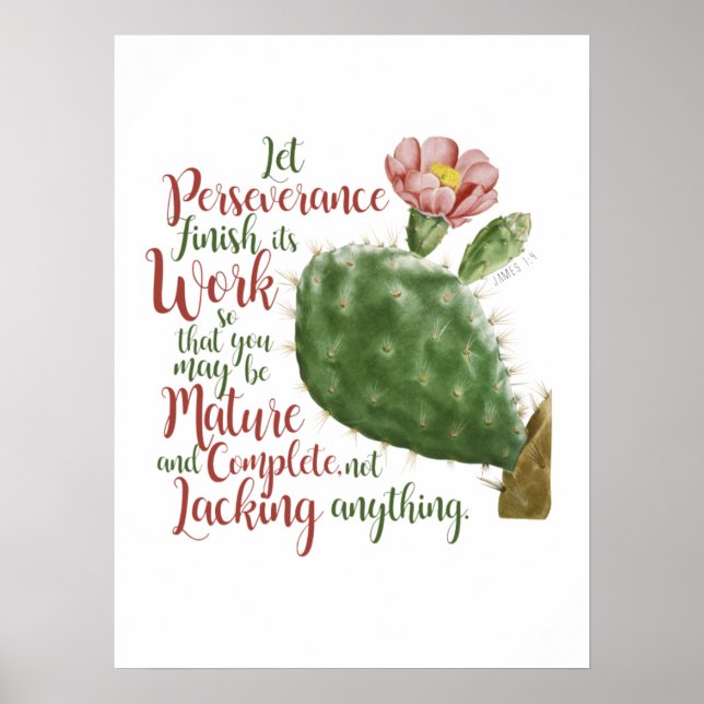 Affiche Cactus vintage de J P Redouté illustré (Devant)