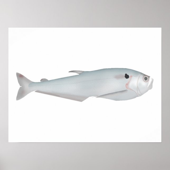 Affiche Cacunda (Devant)