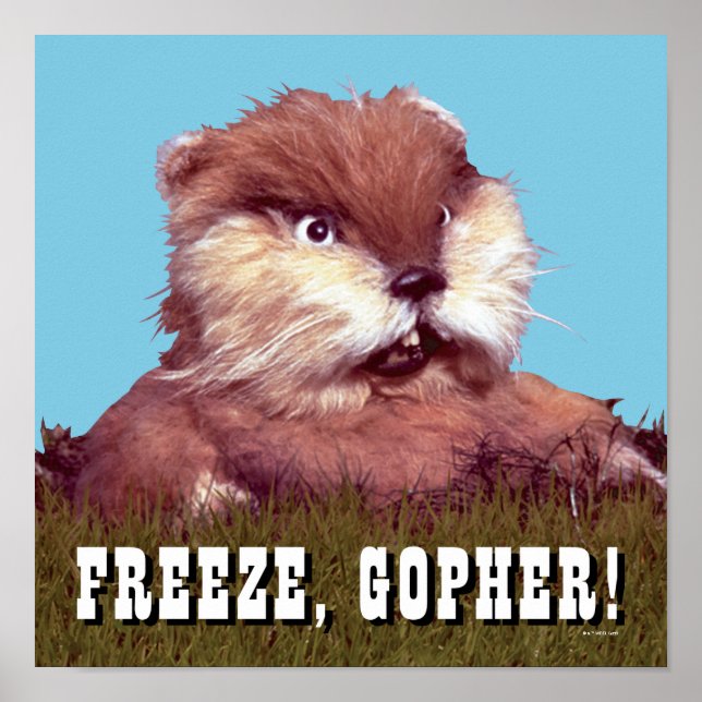 Affiche Caddyshack | Freeze, Gopher ! (Devant)