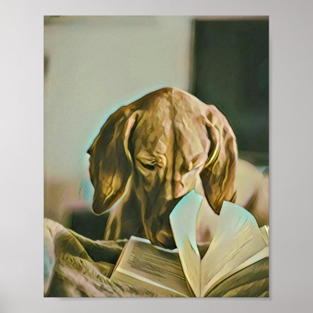 Affiche Cadeau d'anniversaire du bibliothécaire (Devant)