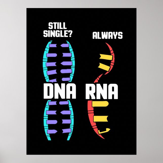 Affiche Cadeau d'anniversaire | Maître Biologiste ADN Et A (Devant)