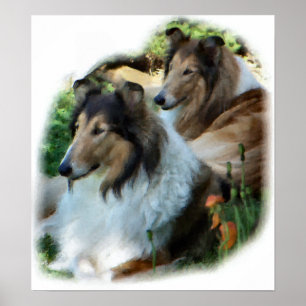 Affiche Cadeau de Collie Rough d'art