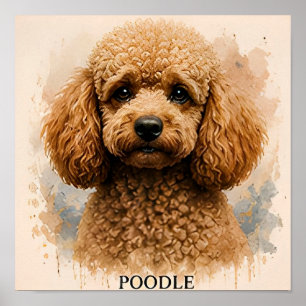 Affiche Cadeau pour amateur de chien caniche