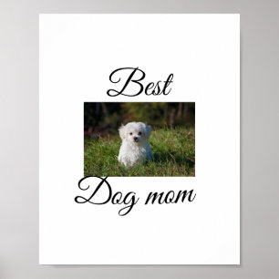Affiche Cadeau simple et coloré d'animal avec nom photo ch