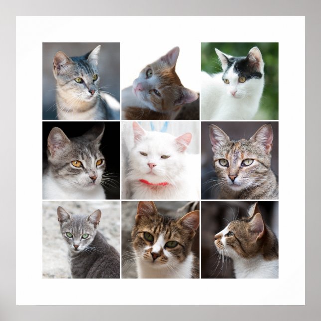 AFFICHE CADEAUX (Devant)