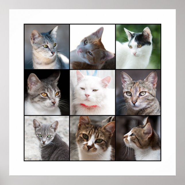 AFFICHE CADEAUX (Devant)