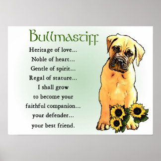 Affiche Cadeaux Bullmastiff