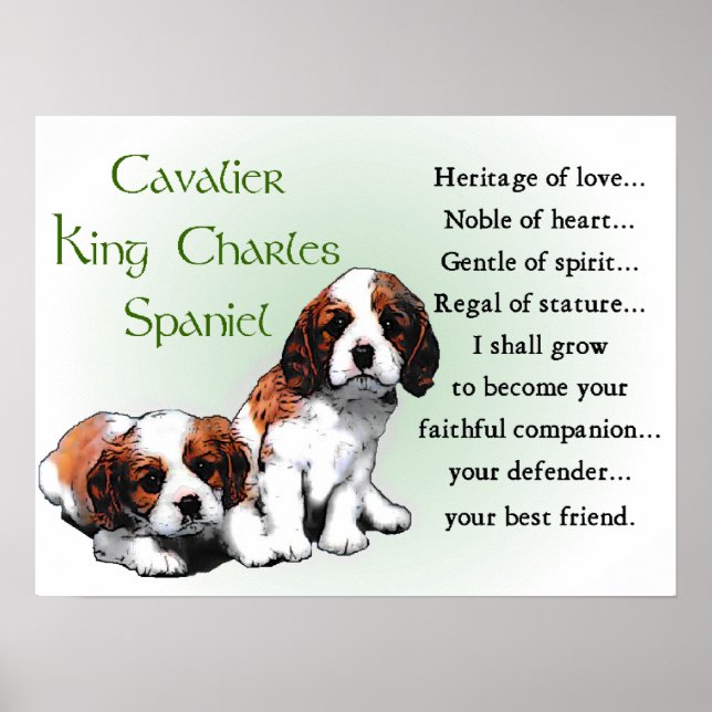 Affiche Cadeaux Cavalier King Charles Spaniel (Devant)