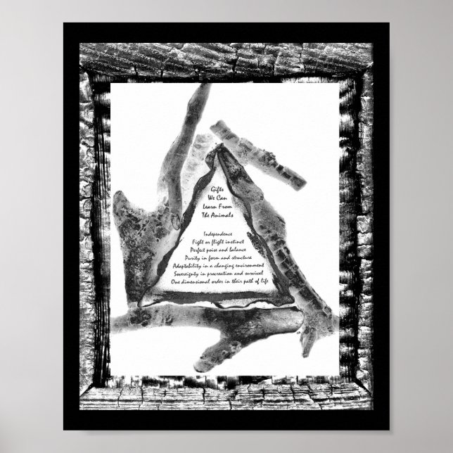 Affiche Cadeaux D'Animaux (Devant)