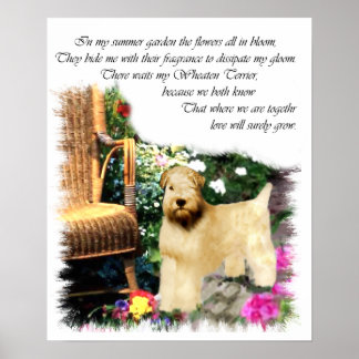Affiche Cadeaux d'art de Terrier à revêtement souple