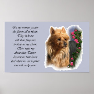 Affiche Cadeaux d'art Terrier australien
