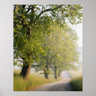 Affiche Cades Cove Grandes Montagnes fumées, TN