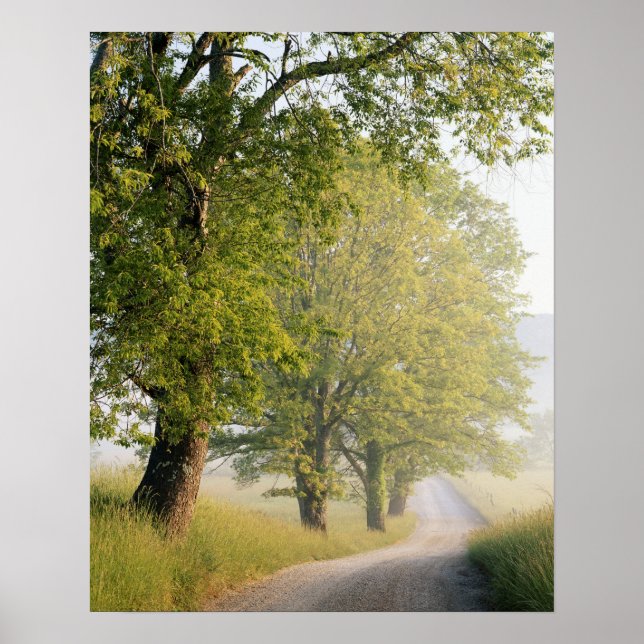 Affiche Cades cove | Great Smokey Mountains (Devant)