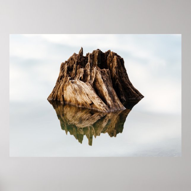 AFFICHE CADRE BROWN EN BOIS (Devant)