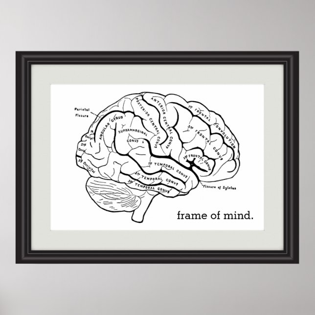 Affiche Cadre de l'esprit Faux Frame Cerveau Diagramme Sci (Devant)