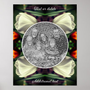 Affiche Cadre Fleur Tulipe Blanche Créez votre propre phot