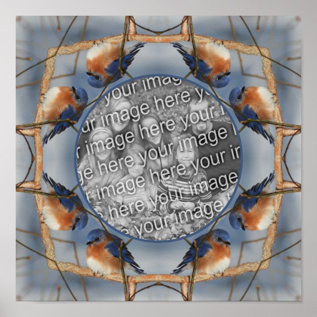 Affiche Cadre naturel Bluebird Créez votre propre photo (Devant)