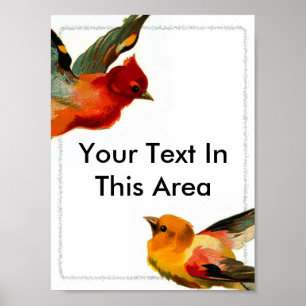 Affiche Cadre Oiseaux 2, Votre Texte Dans Cette Zone
