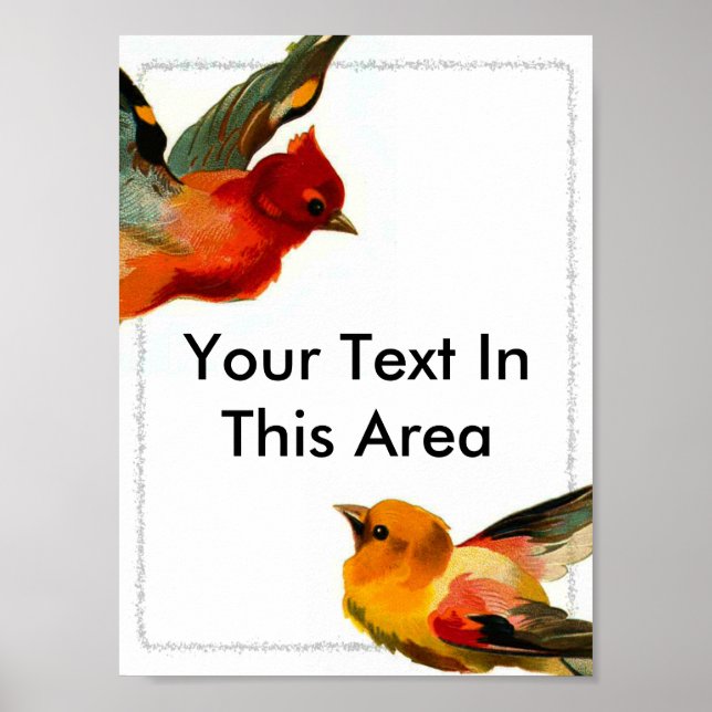 Affiche Cadre Oiseaux 2, Votre Texte Dans Cette Zone (Devant)