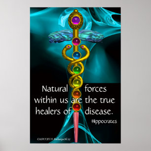 AFFICHE CADUCÉE D'OR ET 7 CHAKRAS DANS ROSE FRACTALE BLEUE