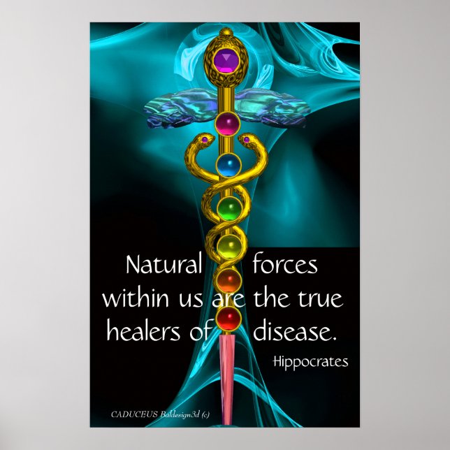 AFFICHE CADUCÉE D'OR ET 7 CHAKRAS DANS ROSE FRACTALE BLEUE (Devant)