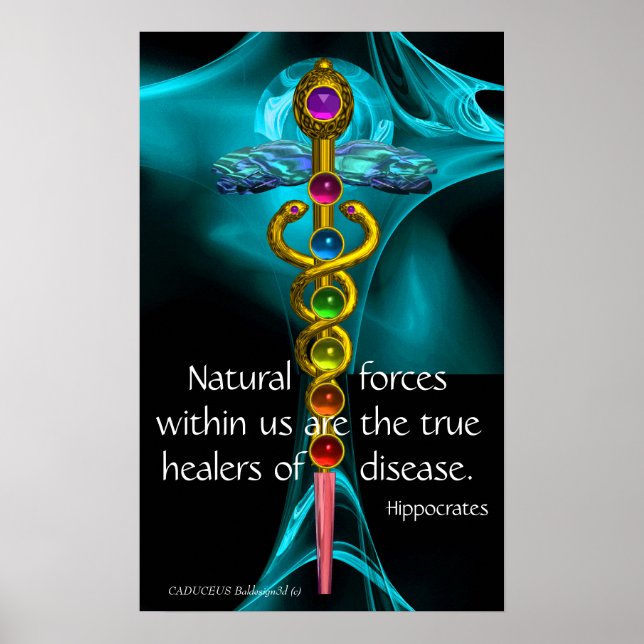 AFFICHE CADUCÉE D'OR ET 7 CHAKRAS DANS ROSE FRACTALE BLEUE (Devant)