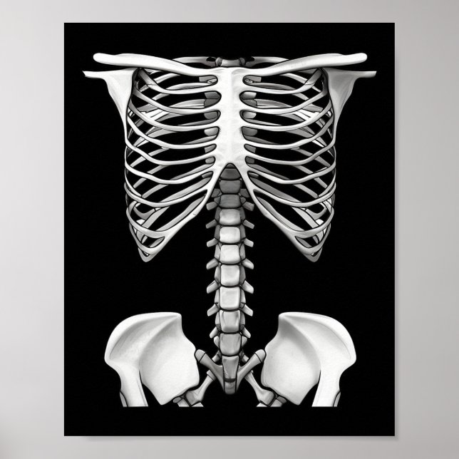 Affiche Cage De Rib Skeleton Cadeaux De Costume Halloween  (Devant)