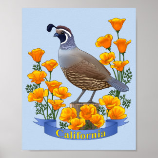 Affiche Caille oiseau de l'État de Californie et Pavot dor