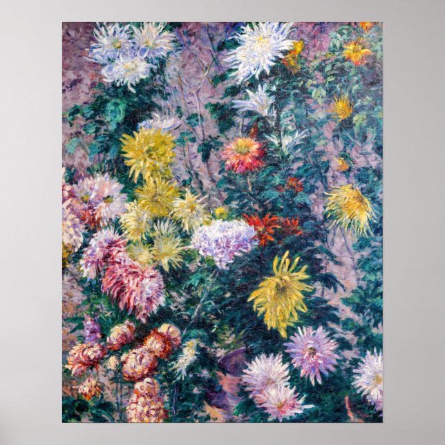 Affiche Caillebotte - Chrysanthèmes blanc et jaune (Devant)