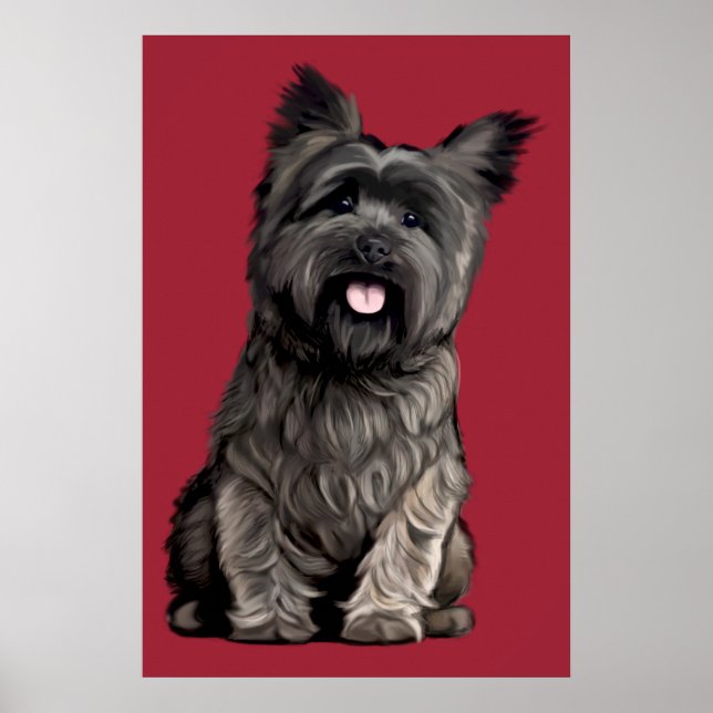 Affiche Cairn Terrier (Devant)