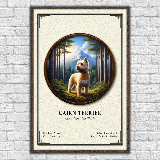 Affiche Cairn Terrier Zoology Series (Créateur téléchargé)