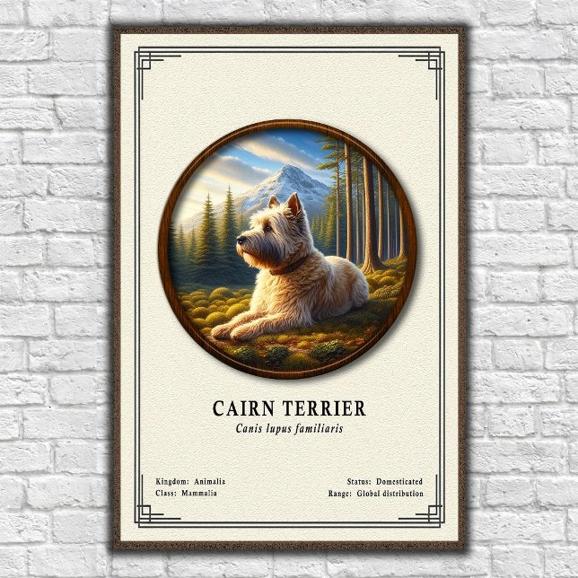 Affiche Cairn Terrier Zoology Series (Créateur téléchargé)