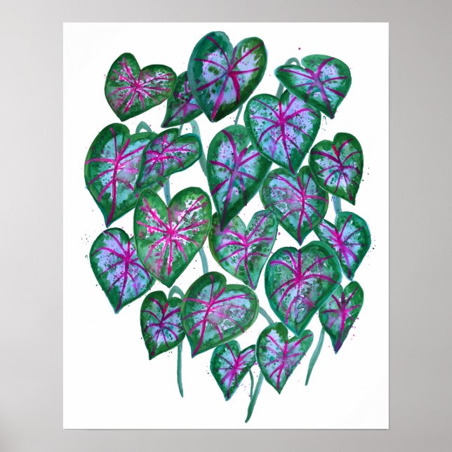Affiche Caladiums colorés Aquarelle Art Rose Vert (Devant)