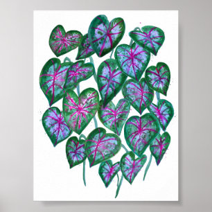 Affiche Caladiums colorés Aquarelle Art Rose Vert